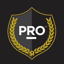 Professional Referees Organization (PRO)